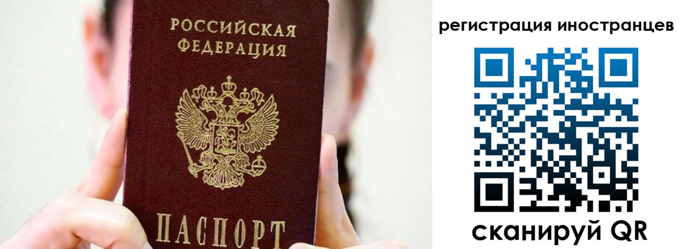 прописка штамп в Лузе